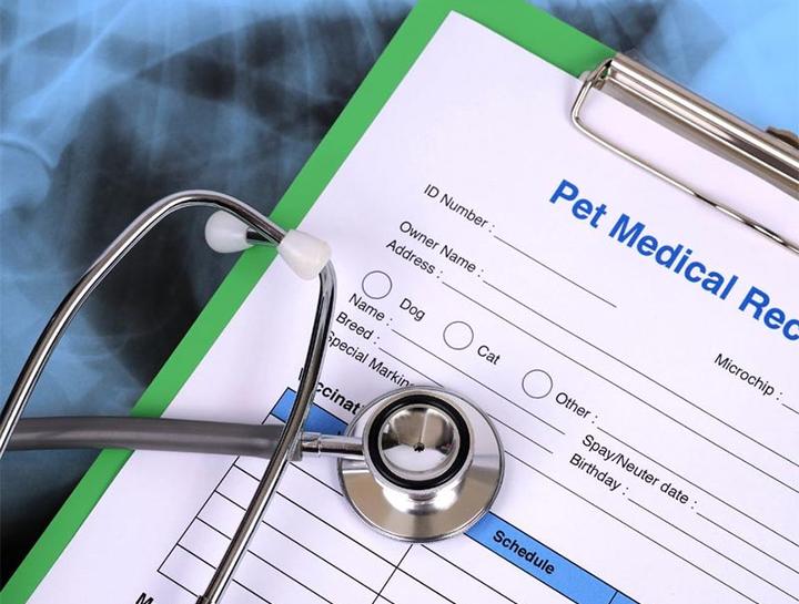 Pet Portal South Mill Veterinary Clinic